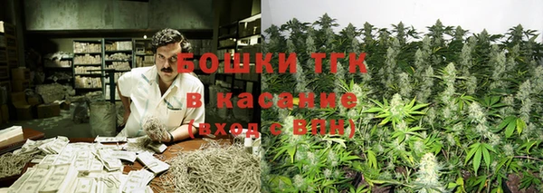 прущая мука Арсеньев