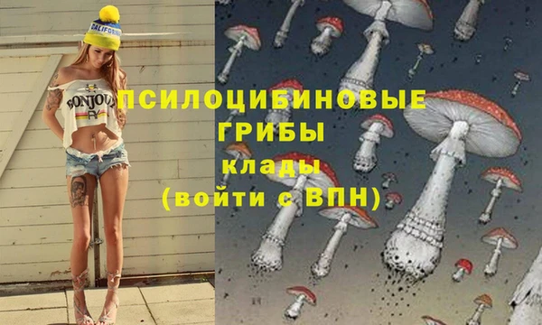 спиды Армянск