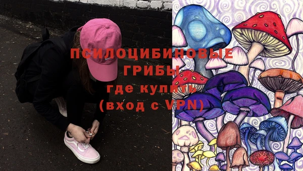 спиды Армянск