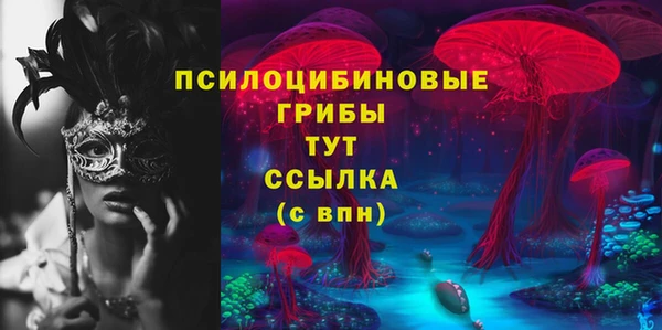 прущая мука Арсеньев