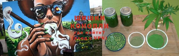 прущая мука Арсеньев