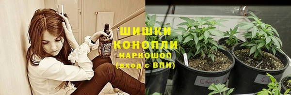 прущие крисы Аркадак